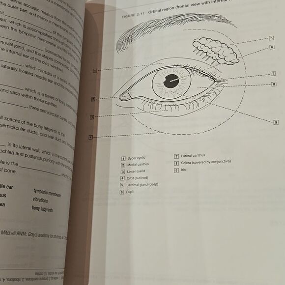 Dental Anatomy Coloring Book 4th Edition - Picture 6 of 15